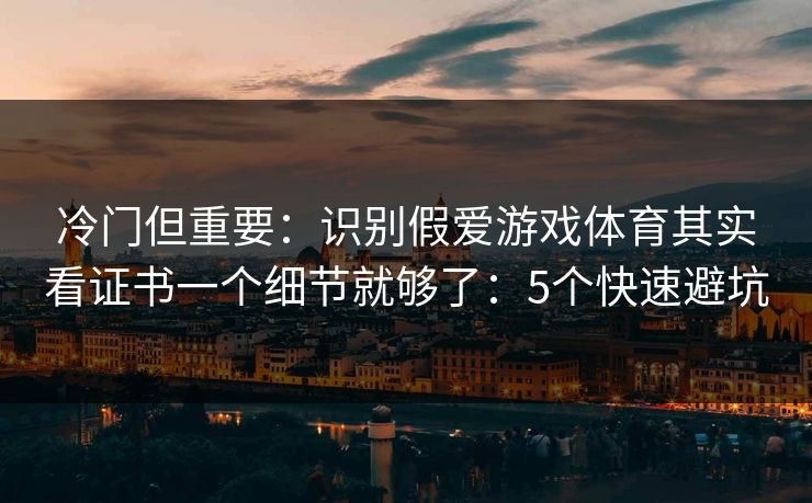 冷门但重要：识别假爱游戏体育其实看证书一个细节就够了：5个快速避坑