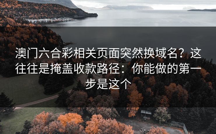 澳门六合彩相关页面突然换域名？这往往是掩盖收款路径：你能做的第一步是这个